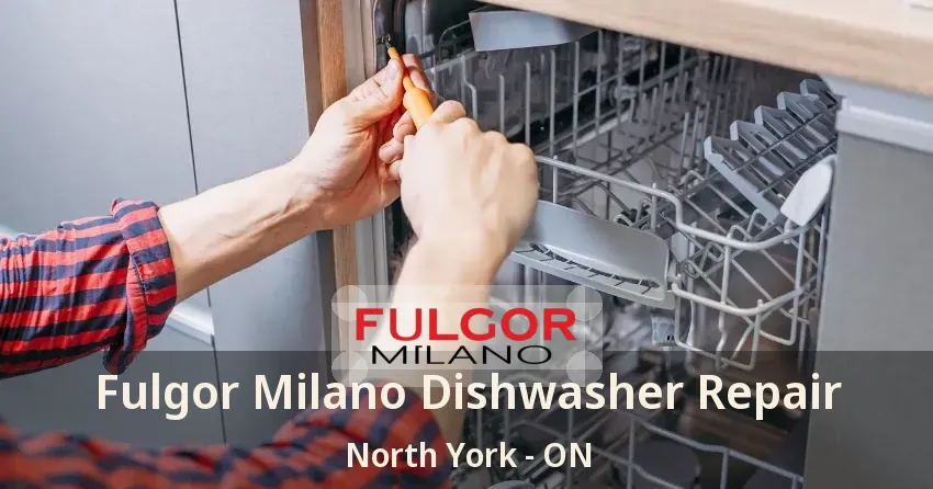 Fulgor Milano Dishwasher Repair North York - ON