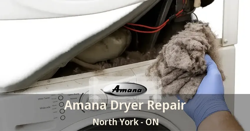 Amana Dryer Repair North York - ON