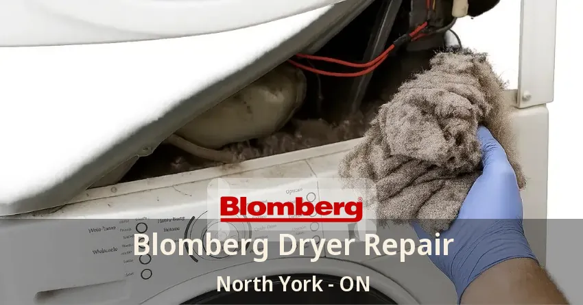 Blomberg Dryer Repair North York - ON