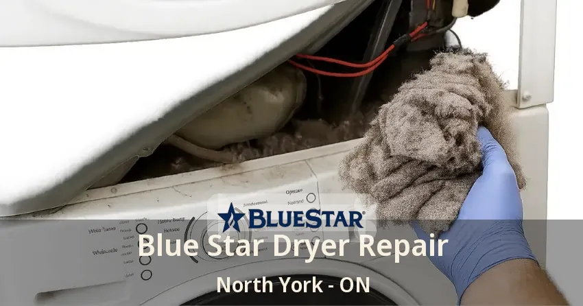 Blue Star Dryer Repair North York - ON