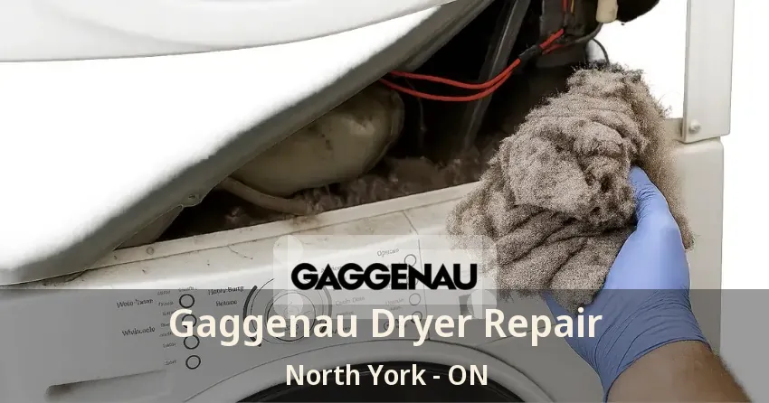 Gaggenau Dryer Repair North York - ON