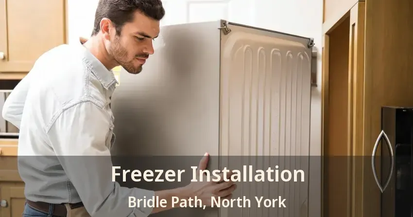 Freezer Installation Bridle Path, North York - ON