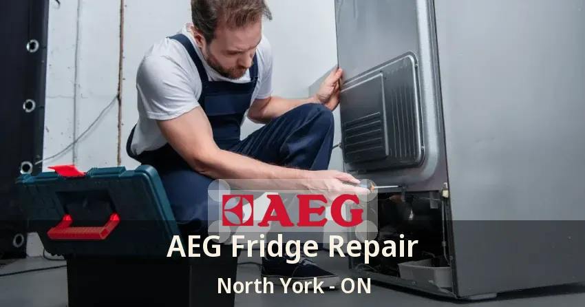 AEG Fridge Repair North York - ON