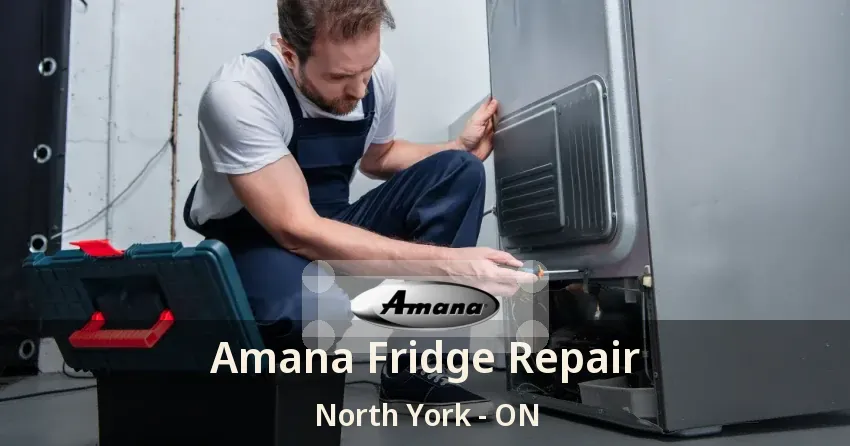 Amana Fridge Repair North York - ON