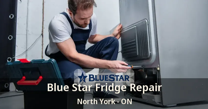 Blue Star Fridge Repair North York - ON