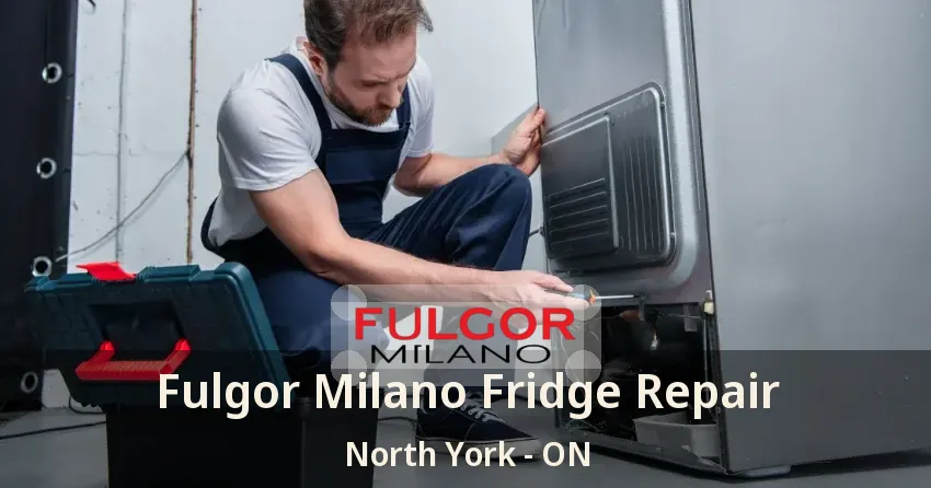 Fulgor Milano Fridge Repair North York - ON