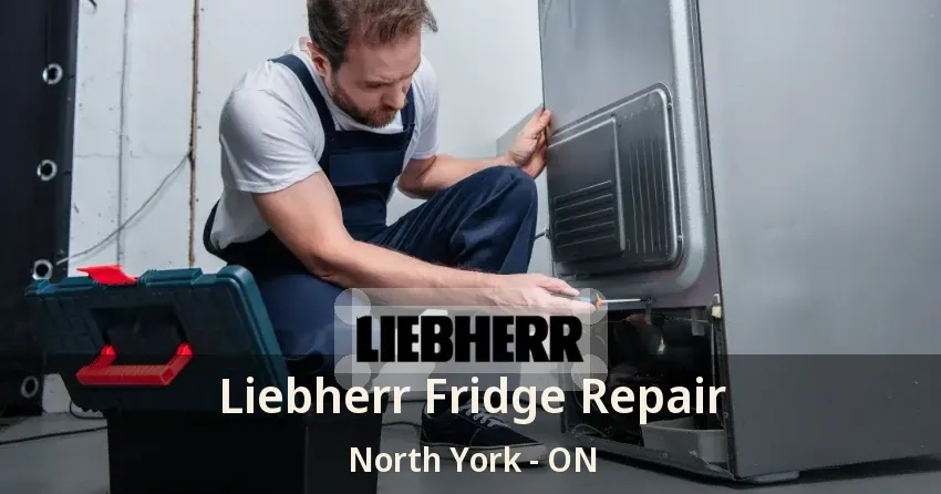 Liebherr Fridge Repair North York - ON