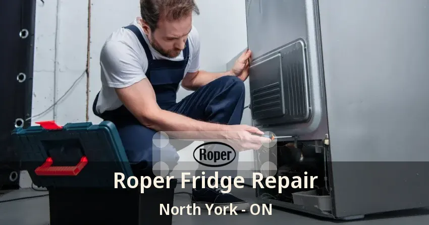 Roper Fridge Repair North York - ON