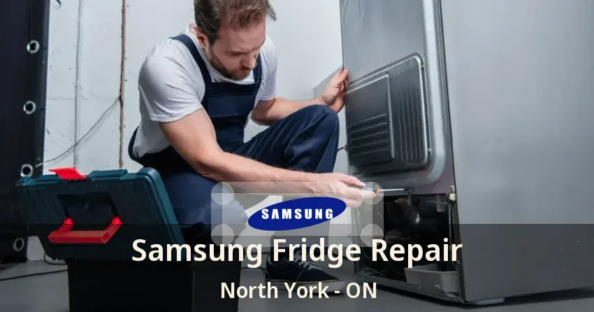 Samsung Fridge Repair North York - ON