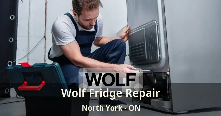 Wolf Fridge Repair North York - ON