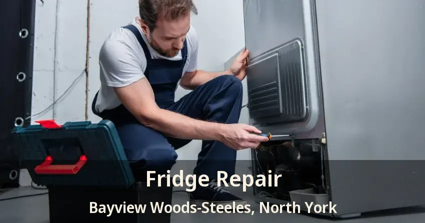 Fridge Repair Bayview Woods-Steeles, North York - ON