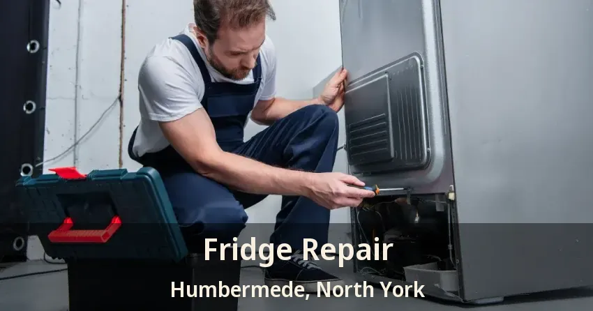 Fridge Repair Humbermede, North York - ON