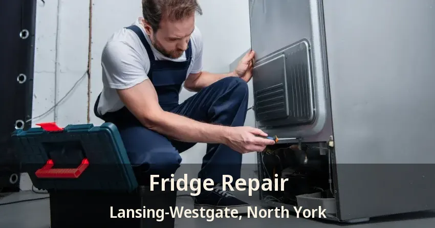 Fridge Repair Lansing-Westgate, North York - ON
