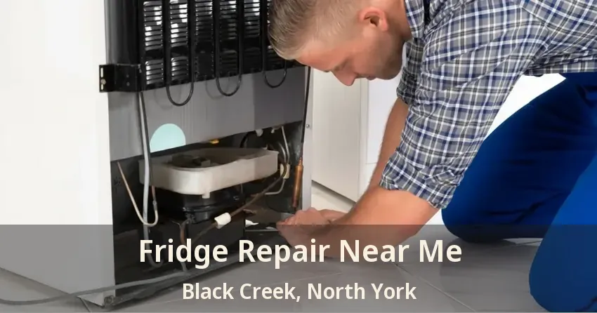 Fridge Repair Near Me Black Creek, North York - ON