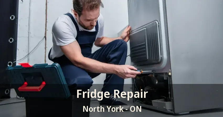 Fridge Repair North York - ON