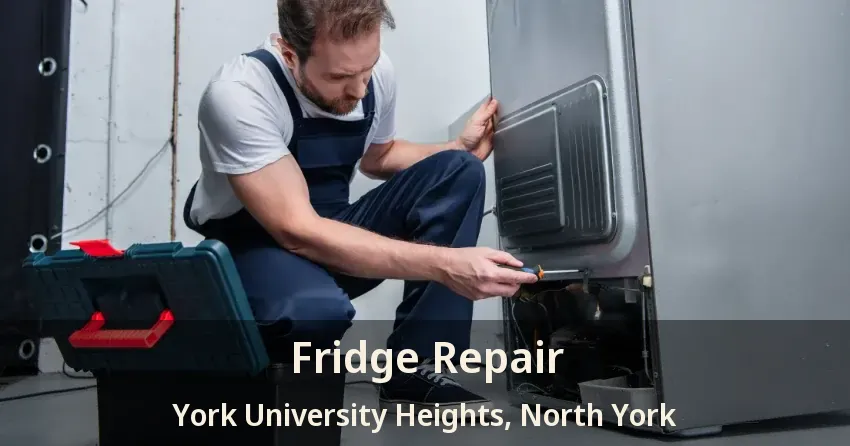 Fridge Repair York University Heights, North York - ON