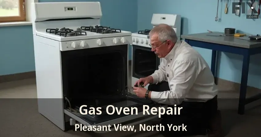 Gas Oven Repair Pleasant View, North York - ON