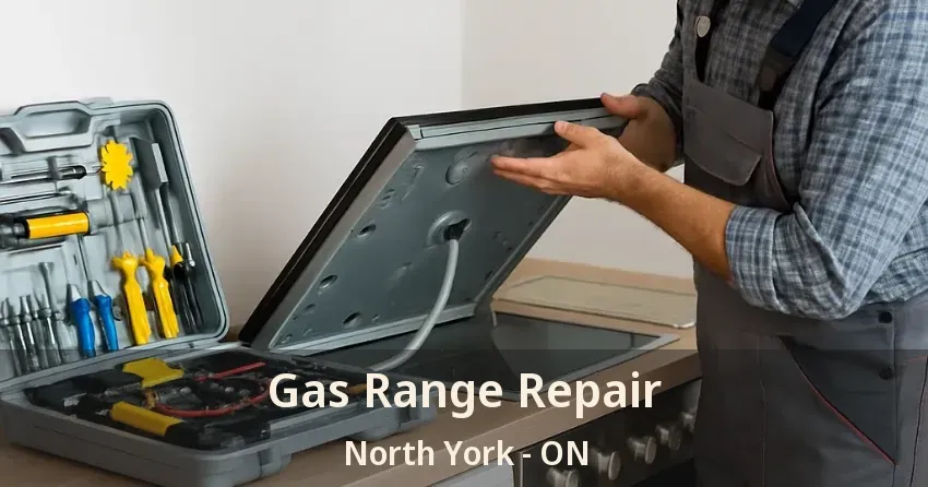 Gas Range Repair North York - ON