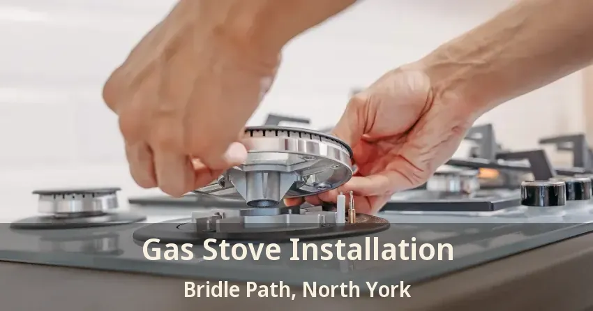 Gas Stove Installation Bridle Path, North York - ON