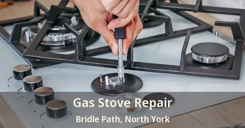 Gas Stove Repair Bridle Path, North York - ON