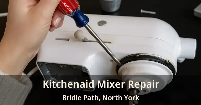 Kitchenaid Mixer Repair Bridle Path, North York - ON