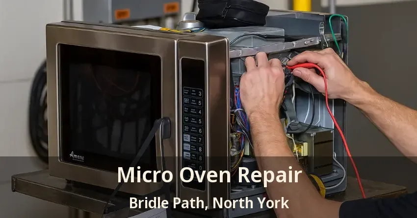Micro Oven Repair Bridle Path, North York - ON