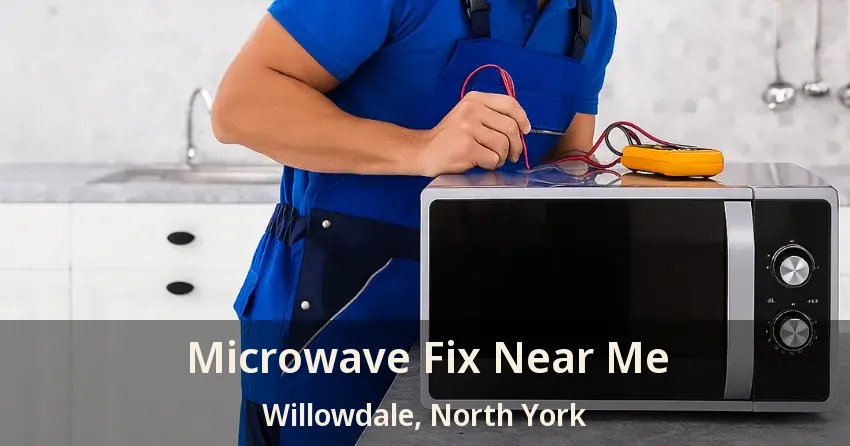 Microwave Fix Near Me Willowdale, North York - ON