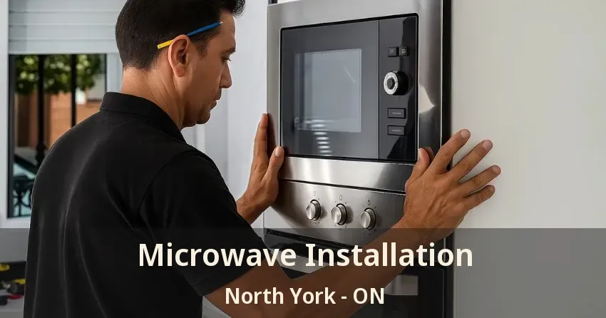Microwave Installation North York - ON