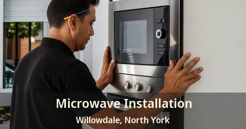 Microwave Installation Willowdale, North York - ON