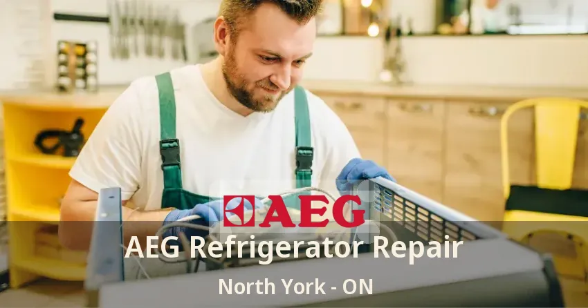 AEG Refrigerator Repair North York - ON