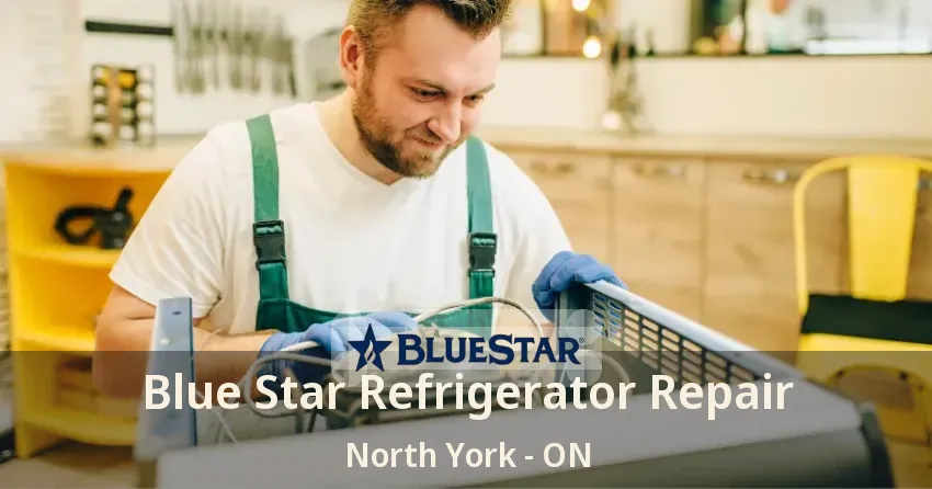 Blue Star Refrigerator Repair North York - ON