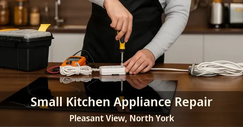 Small Kitchen Appliance Repair Pleasant View, North York - ON