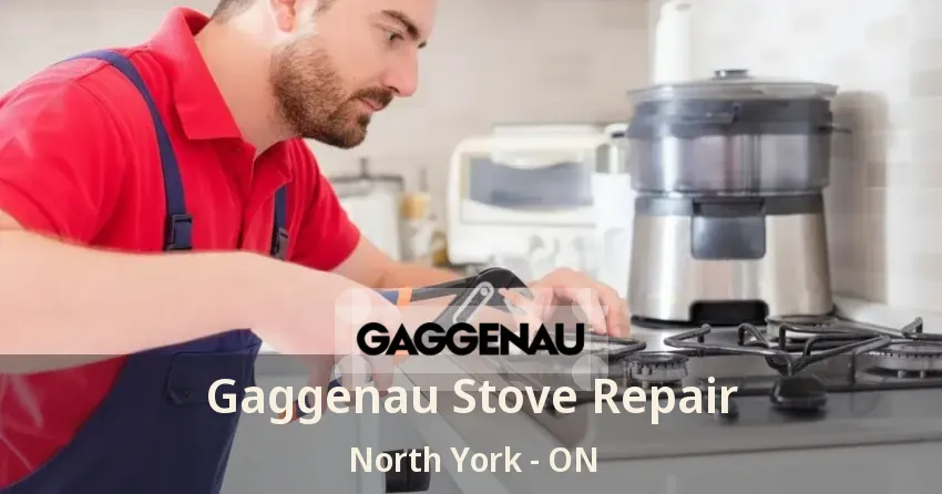 Gaggenau Stove Repair North York - ON