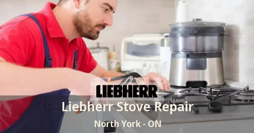 Liebherr Stove Repair North York - ON
