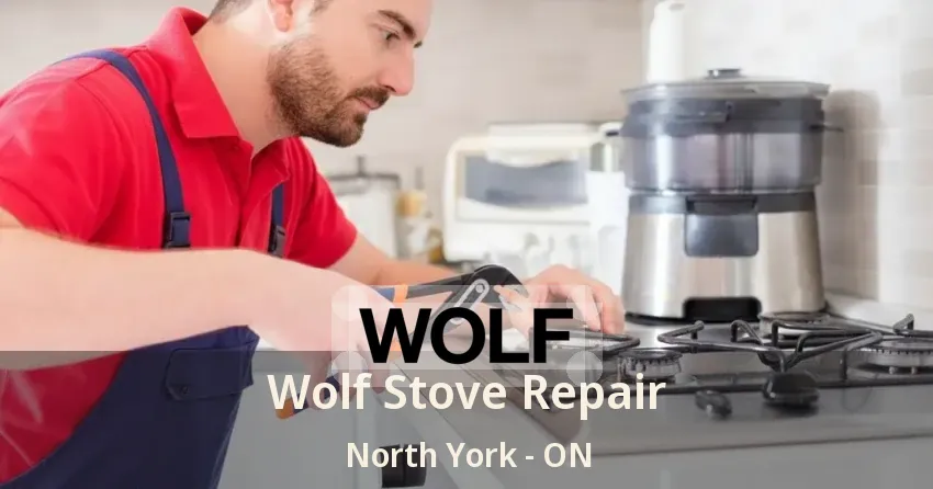 Wolf Stove Repair North York - ON