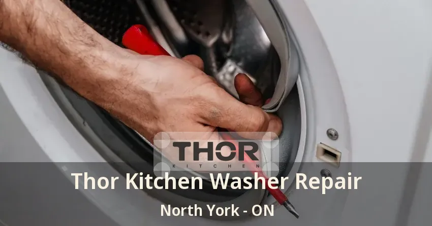 Thor Kitchen Washer Repair North York - ON