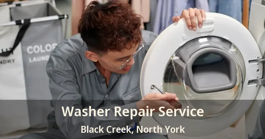 Washer Repair Service Black Creek, North York - ON